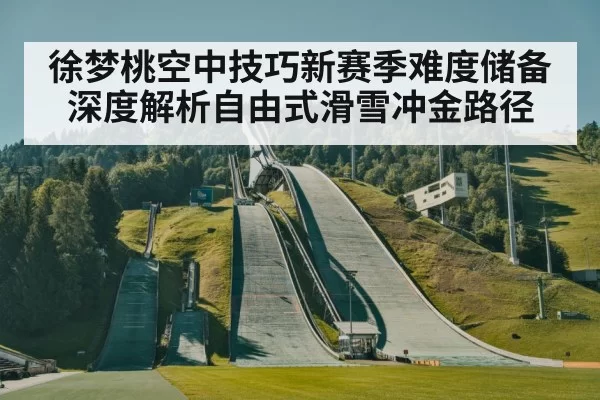 徐梦桃空中技巧新赛季难度储备深度解析自由式滑雪冲金路径